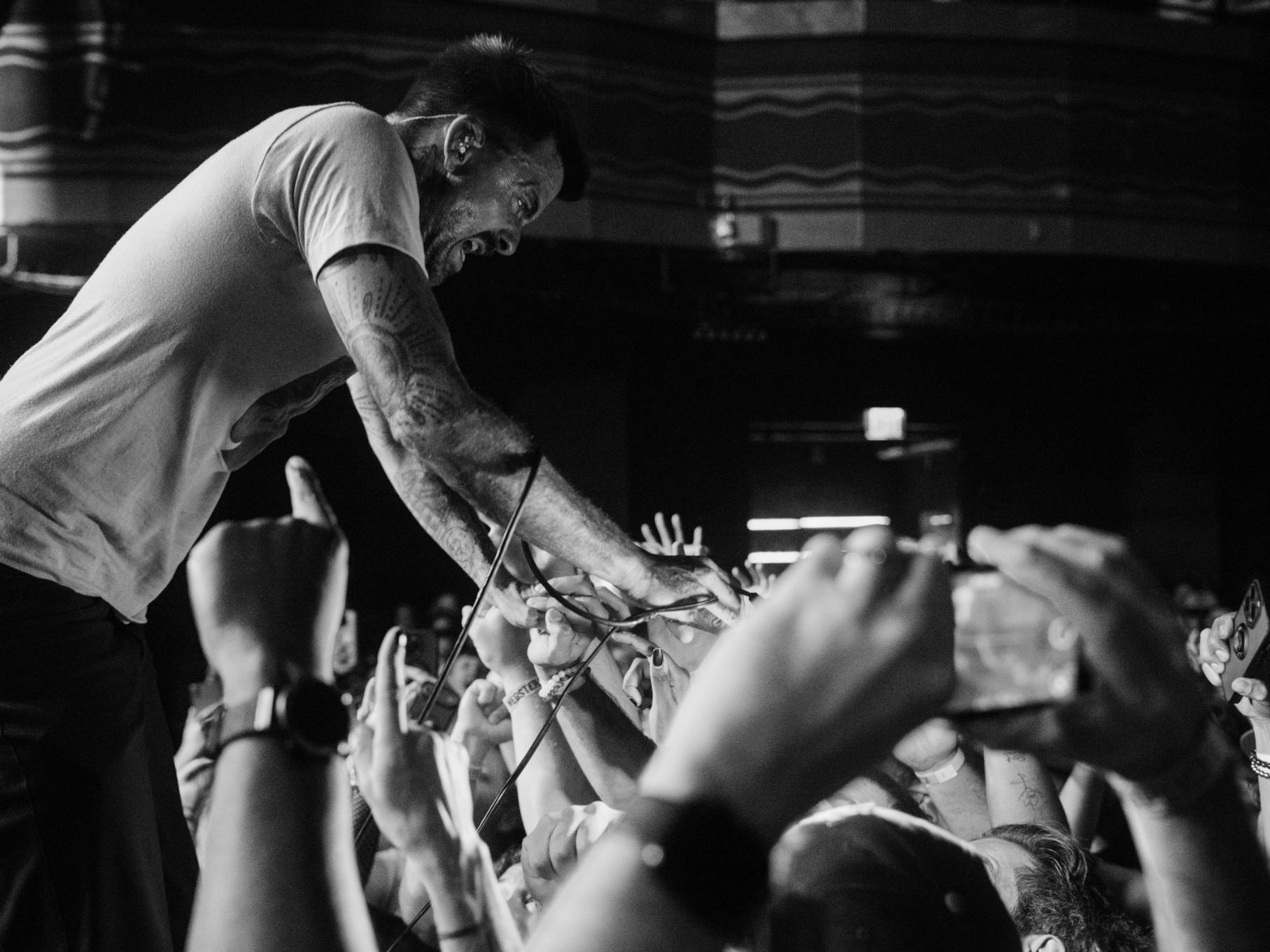 the sounds of animals fighting_webster hall_Oct 05, 2025-40