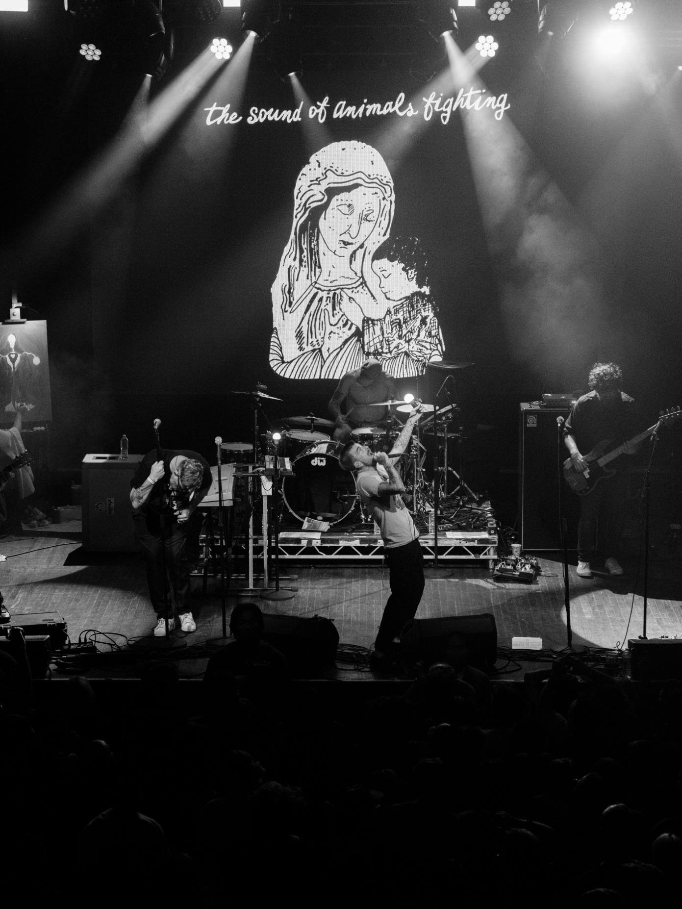 the sounds of animals fighting_webster hall_Oct 05, 2025-47