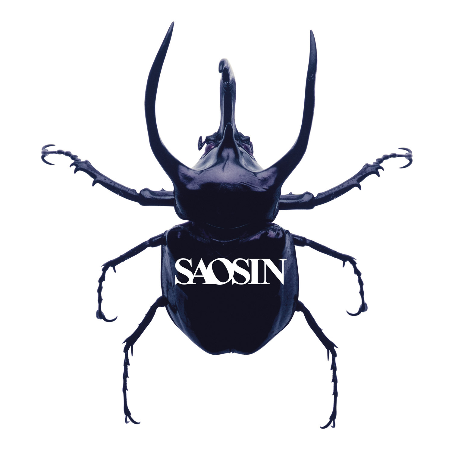 saosin saosin