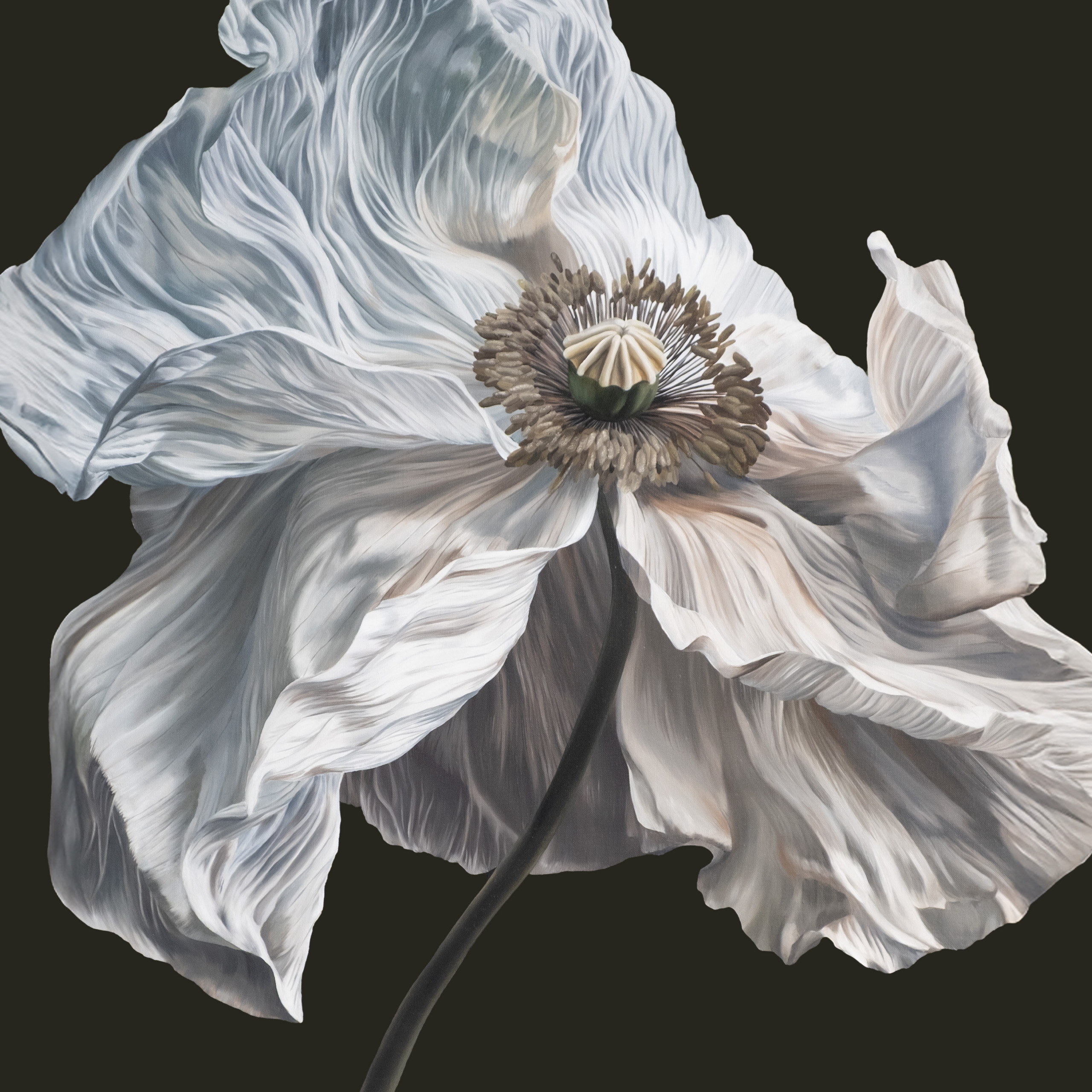 Quicksand 'Bring On The Psychics' Cover