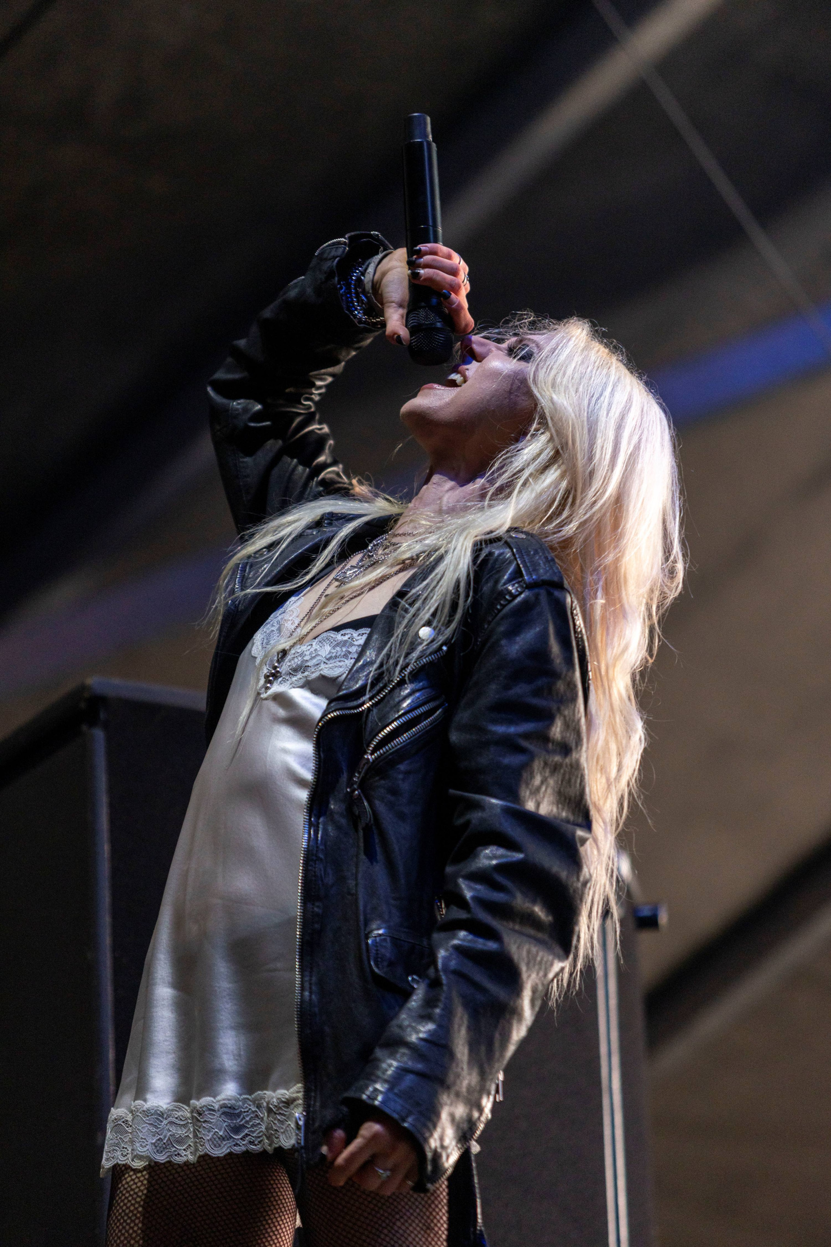 the pretty reckless